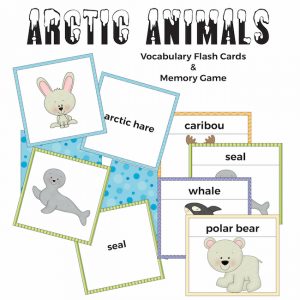 Arctic Animals Flash Cards and Memory Game