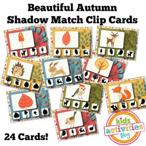 Autumn Shadow Match Clip Cards