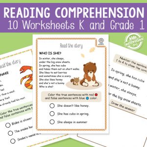 Reading Comprehension Stories