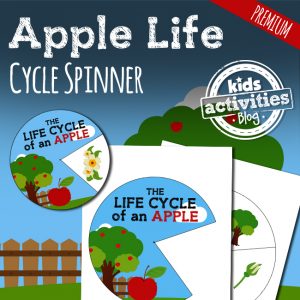 Apples - Apple Life Cycle Spinner Craft Activity for Preschool Science