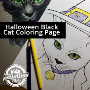 Halloween Coloring Page – Black Cat