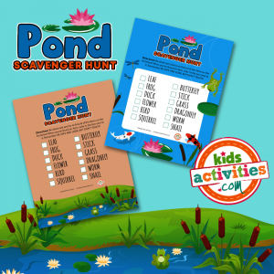 Pond Scavenger Hunt