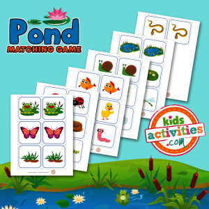 Pond Matching Game